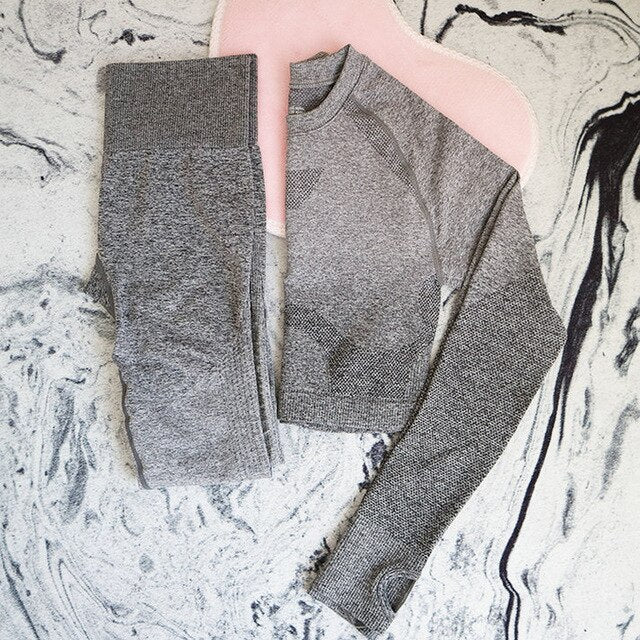 Ombre Seamless Women Yoga Suit