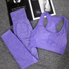 Vital Seamless Women Fitness Clothing