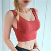 Women Padded Solid Sports Bra